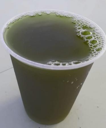 Caldo de cana garapa 500 ml