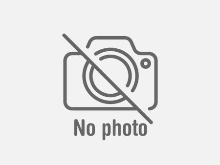 BATATA FRITA 300G