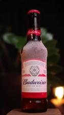 Budweiser Long Neck